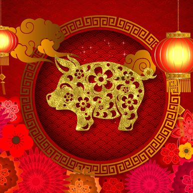 Po Kineskom horoskopu 2019. je godina zemljane svinje