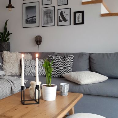 Stan Tanje Jelen u Novom Marofu - 7