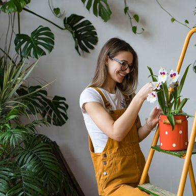 Kućni uzgoj biljaka jedan je od hobija u kojima ćete uživati