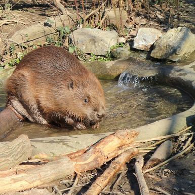 Do kraja veljače u zagrebačkom zoo vrtu održavat će se Egzotične subote - 1