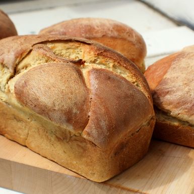 Stari kruh moguće je vratiti u život