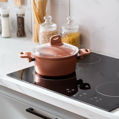 Indukcija je posljednjih godina postala sinonim za suvremenu kuhinju