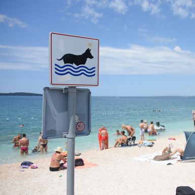 Dog friendly plaža Hidrobaza u Puli