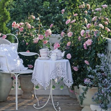 Predivan ružičnjak možete urediti i na balkonu - 4