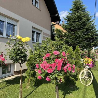 Medicinska sestra Marija Ričko ima najljepše dvorište u okolici Ludbrega - 9