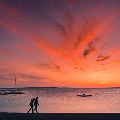 Zlatna plaža na otoku Pagu