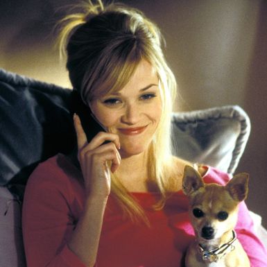 Na koga možete računati baš uvijek?