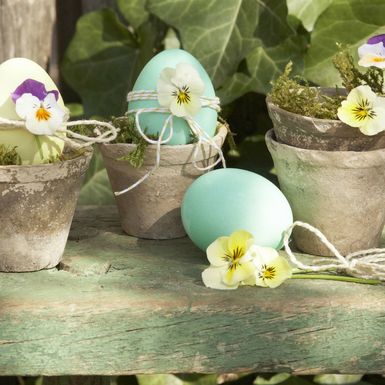 Ideje za uskrsne dekoracije s maćuhicama - 10