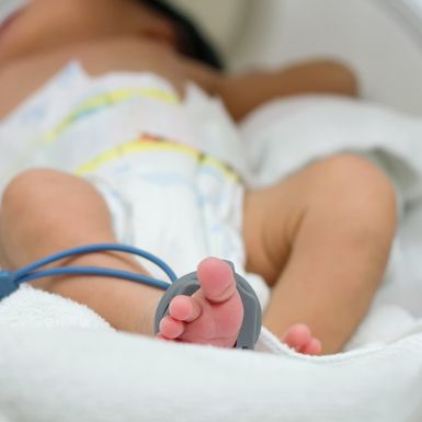 Vratimo palčiće u Petrovu