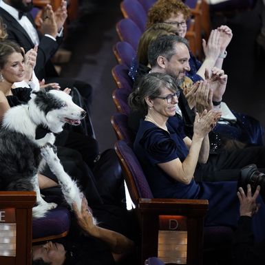 Pas Messi iz filma 'Anatomija pada' imao je svoj stolac na dodjeli Oscara - 4