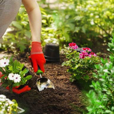 U Botaničkom ćete se vrtu moći opskrbiti novim bijkama