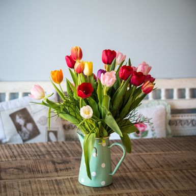 Tulipani u vazi