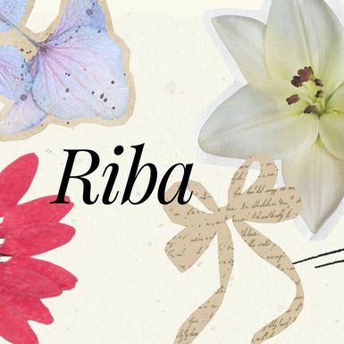 Ribe