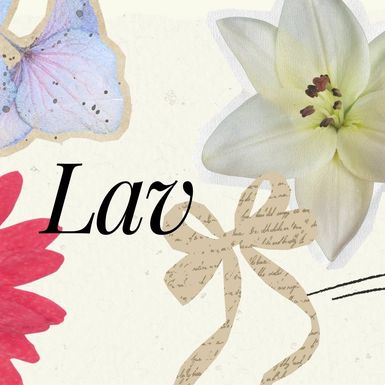 Lav