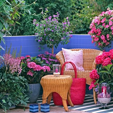 Hortenzije na balkonu