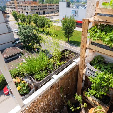 Ivana Marketin iz Zagreba svoj balkon veličine uredskog stola pretvorila je u malu zelenu oazu - 7