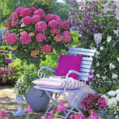 Prekrasni vrtovi s hortenzijama - 4