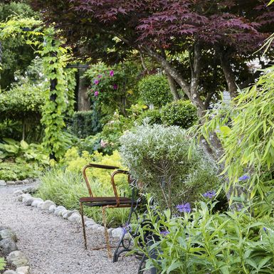 Dvorište puno zelenila u kojem bismo se voljeli izgubiti - 10