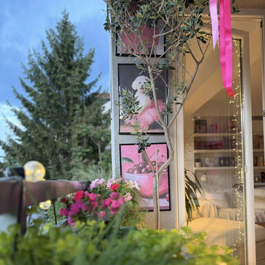 Balkon Cvetanke Belički iz Skoplja ispunjava nas radošću - 8