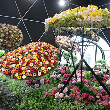 Floraart