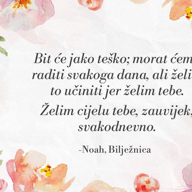 Citati iz filma Bilježnica - 9