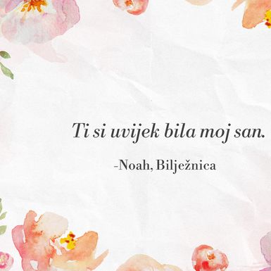 Citati iz filma Bilježnica - 10