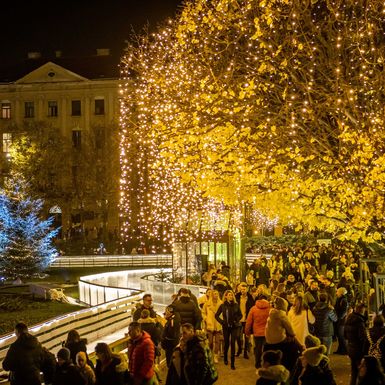 Ledeni park na Tomislavcu