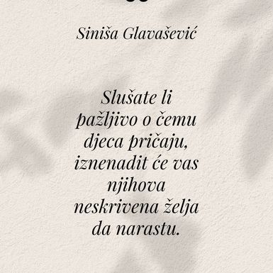 Citati Siniše Glavaševića - 10