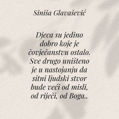 Citati Siniše Glavaševića