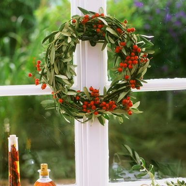 Šipak se itekako može koristiti kao ukras