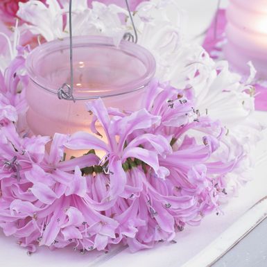 Cvijet nerina svojim živim bojama unosi veselje u razdoblje kada priroda polako utihne - 8