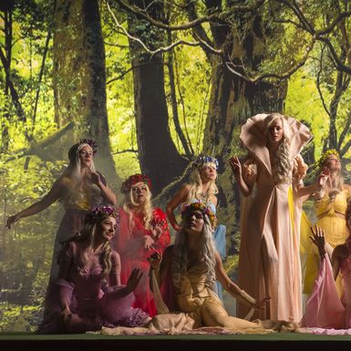 Trnoružica i cvjetne vile (Foto: Damir Kalogjera/PR)