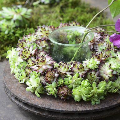 Ukrasni vijenac od sukulenata