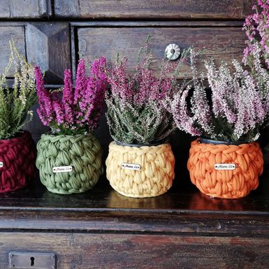 Efektne košarice učnit će svaku biljku još posebnijom