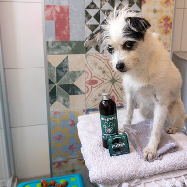 Šampon Shapello dolazi u tekućoj i krutoj varijanti