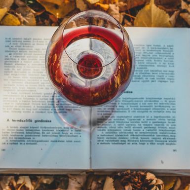 Vino i knjiga