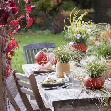 Bundeva kao jesenski ukras za dom - 8