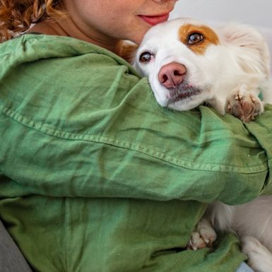 Psi itekako znaju kad nam je teško