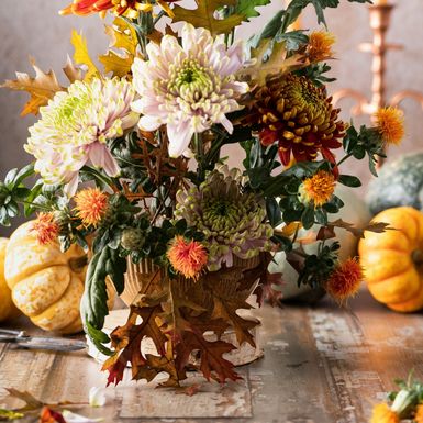 Pet biljaka koje unose jesensku toplinu u dom