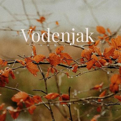 Vodenjak