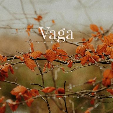 Vaga