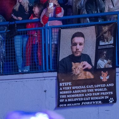 Emotivan plakat posvećen mačku Stipi