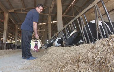 Uvoz mlijeka i sira u porastu (Foto: Dnevnik.hr) - 3
