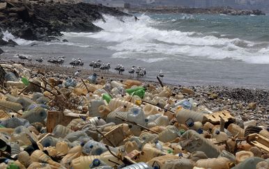 Plastika nasukana na plaži (Foto: AFP)
