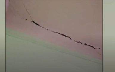 Vrtić Trnoružica, ilustracija