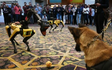 Robotski psi tvrtke Boston Dynamics