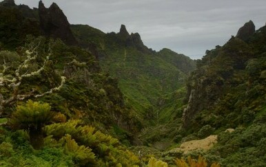Istraživanje na otoku Gough - 4