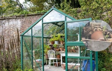 Primijetio mačka kako stalno ulazi u staklenik, a onda je otkrio i razlog zašto