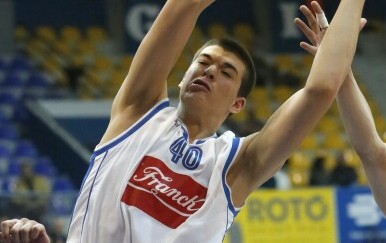 Ivica Zubac, 2015. godine