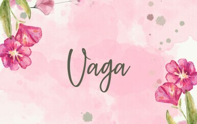 Vaga